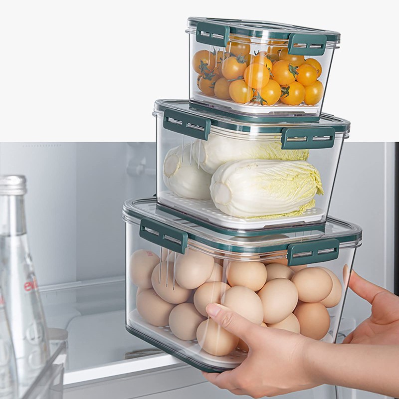 Food Storage Box Manufacturer - PET Transparent Sealed Keeping