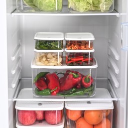 Fridge Storage Container Manufacturer - Airtight Fruit Vegetable Classification