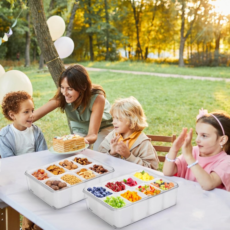 Serving Tray Manufacturer - Divided Portable Snack Fruit Compartment