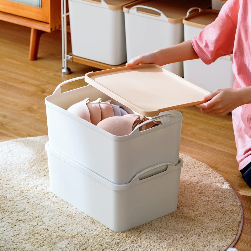 Storage Box Manufacturer - Plastic Portable with Lid