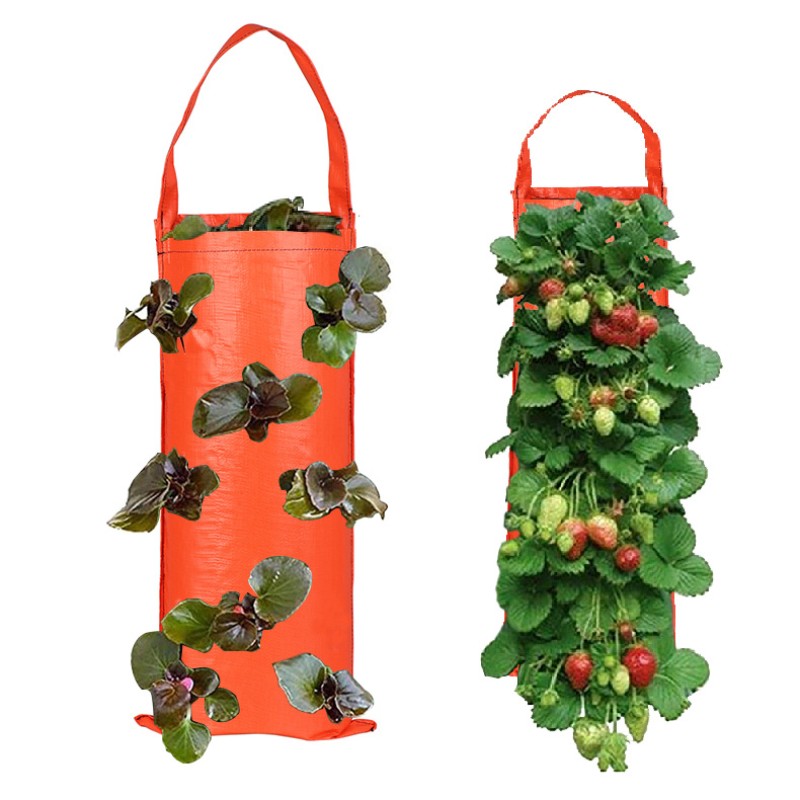 Strawberry Planting Bag Manufacturer - PE Vertical Hanging Container