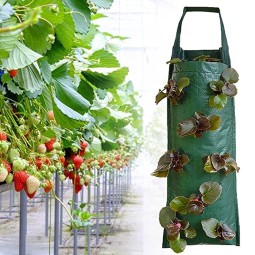 Strawberry Planting Bag Manufacturer - PE Vertical Hanging Container