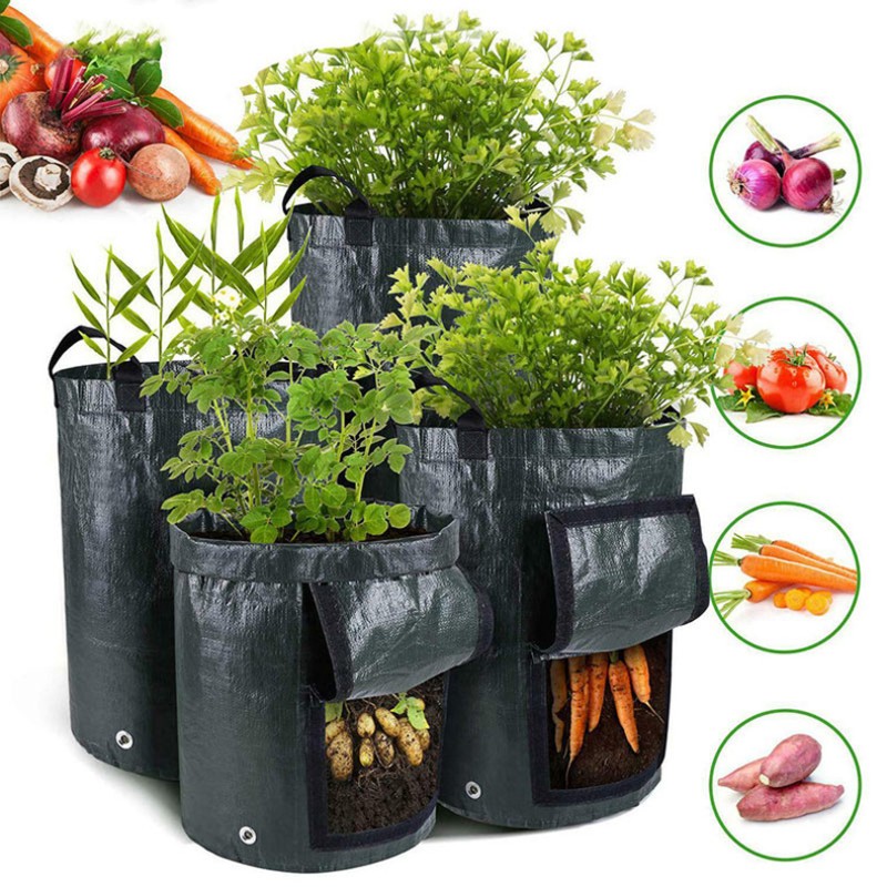 Planting Bag Factory - PE Potato Tomato Cultivation Bucket