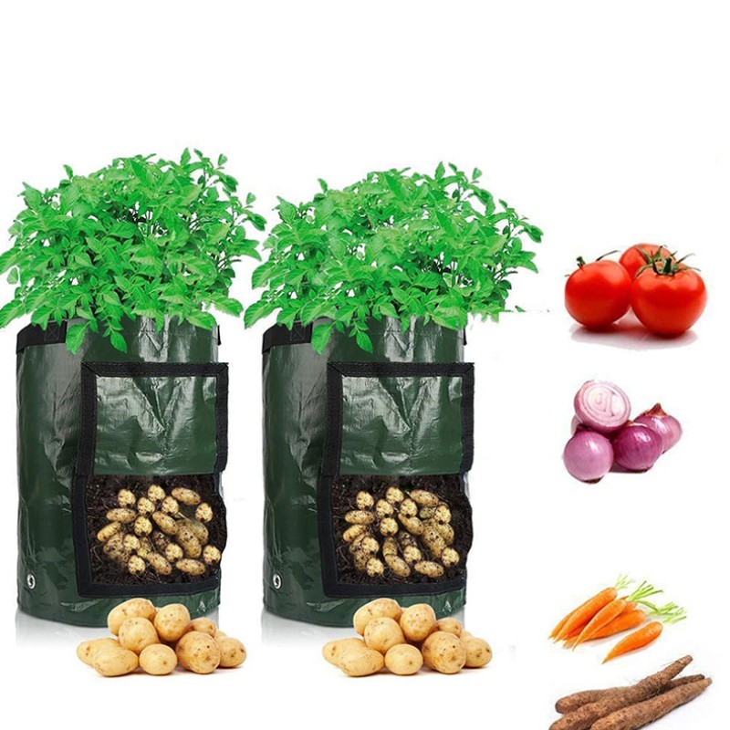 Planting Bag Factory - PE Potato Tomato Cultivation Bucket