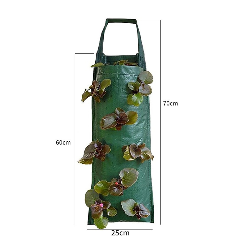 Strawberry Planting Bag Manufacturer - PE Vertical Hanging Container