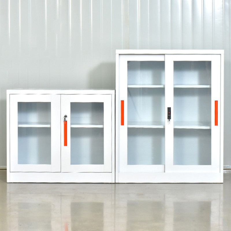 Glass Door Cabinet Manufacturer - Steel File with Lock Storage