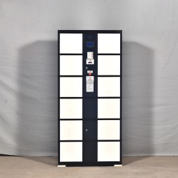 Smart Parcel Locker Manufacturer - Safe Convenient Metal Gym