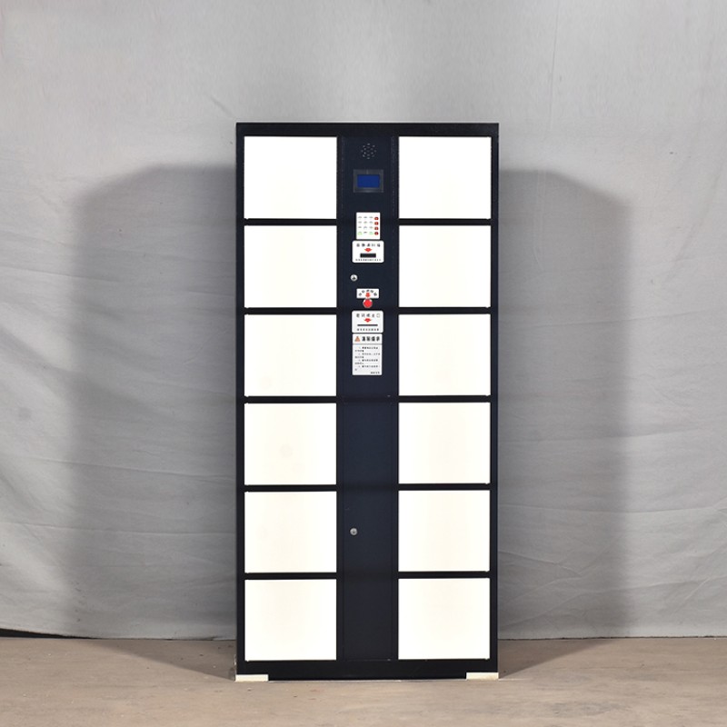 Smart Parcel Locker Manufacturer - Safe Convenient Metal Gym