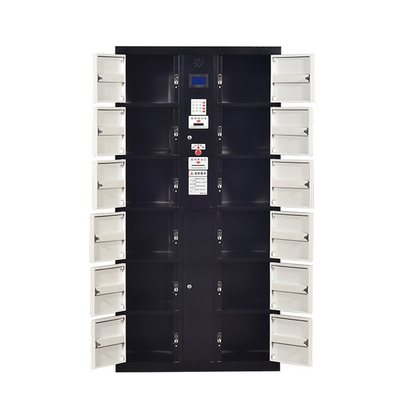 Smart Parcel Locker Manufacturer - Safe Convenient Metal Gym