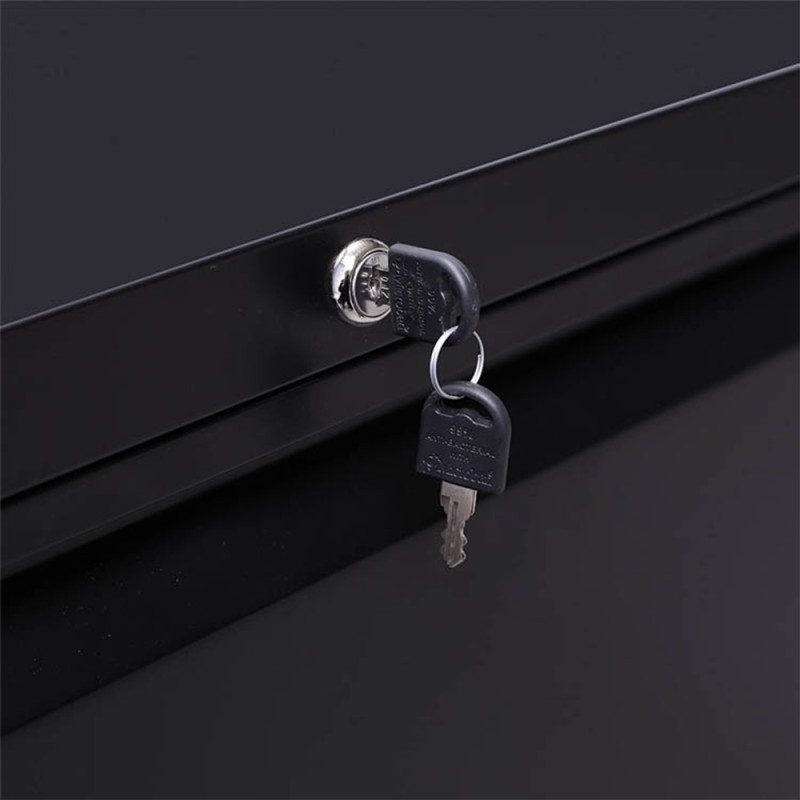 Professional Cabinet Manufacturer - Black Steel 2 Doors 3 Drawers