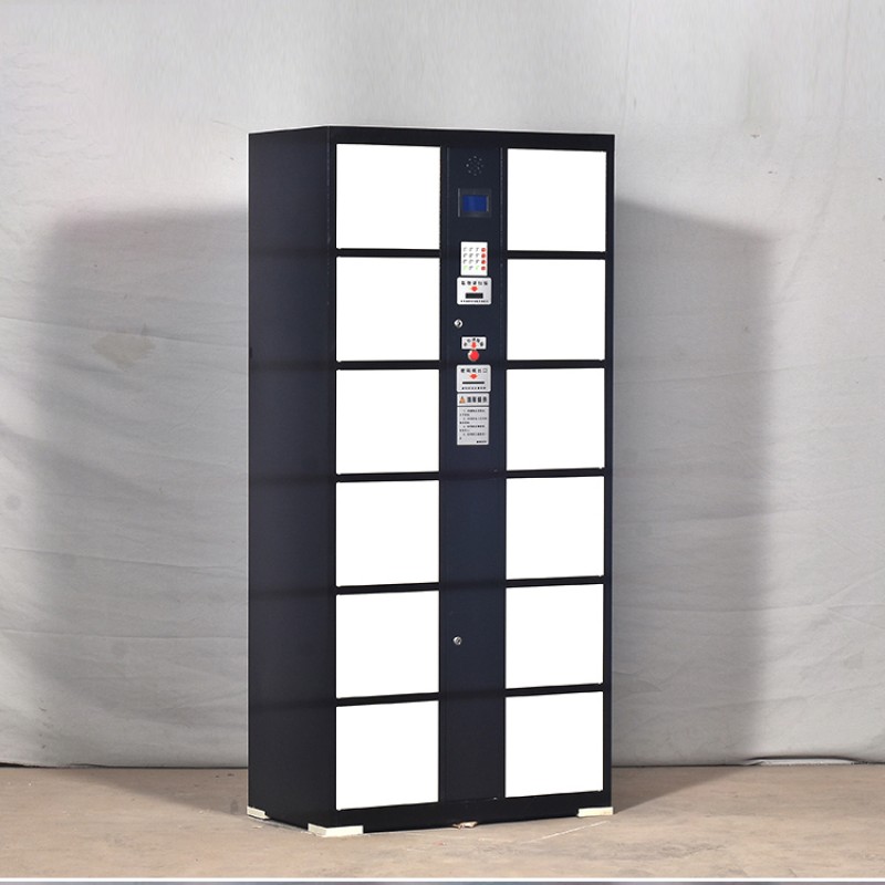 Smart Parcel Locker Manufacturer - Safe Convenient Metal Gym