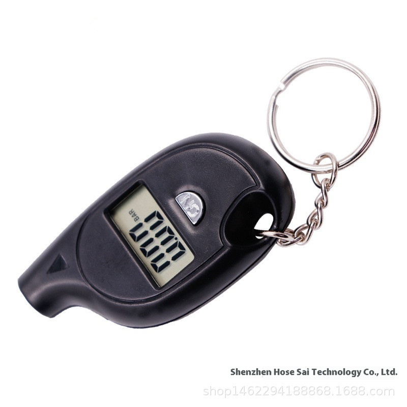 Air Pressure Gauge Manufacturer - Mini Digital Keychain