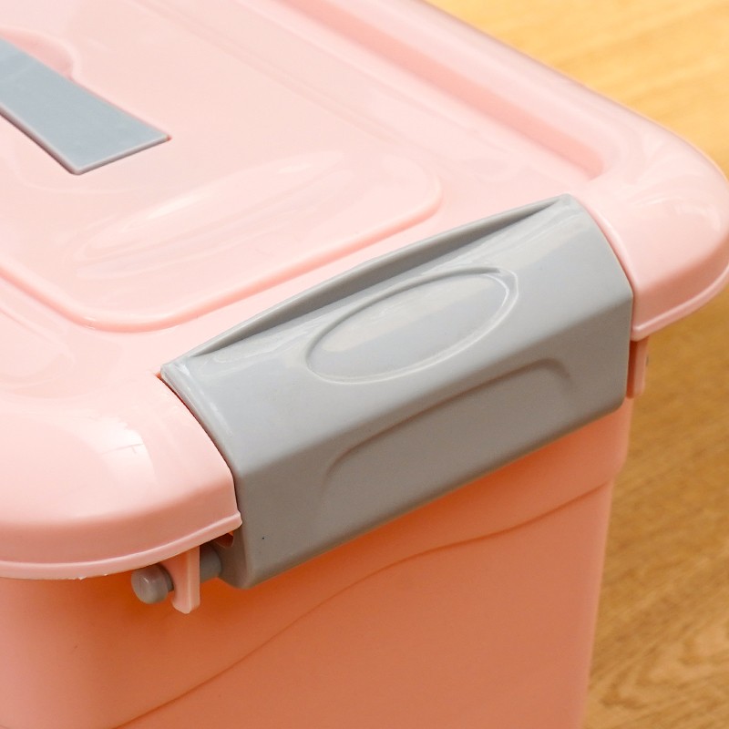 Office Storage Box Manufacturer - 5L Colorful for Under Bed