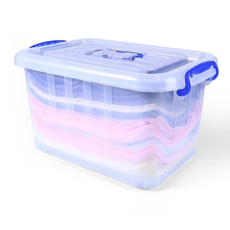 Plastic Cloth Box Manufacturer - 30L Multipurpose with Handle