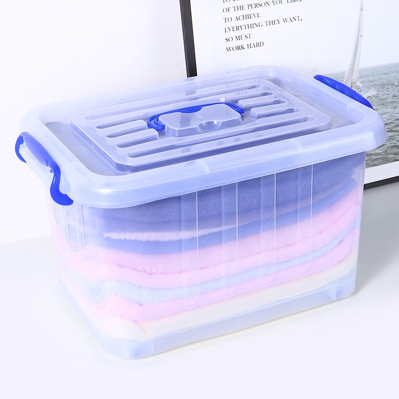 Plastic Cloth Box Manufacturer - 30L Multipurpose with Handle