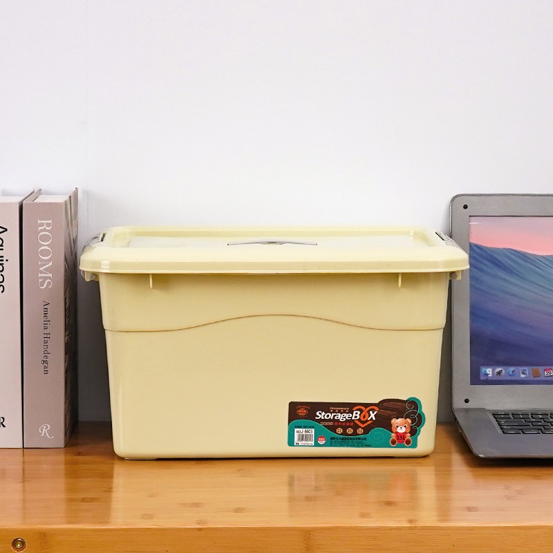 Plastic Storage Boxes Manufacturer - Multifunctional with Lids