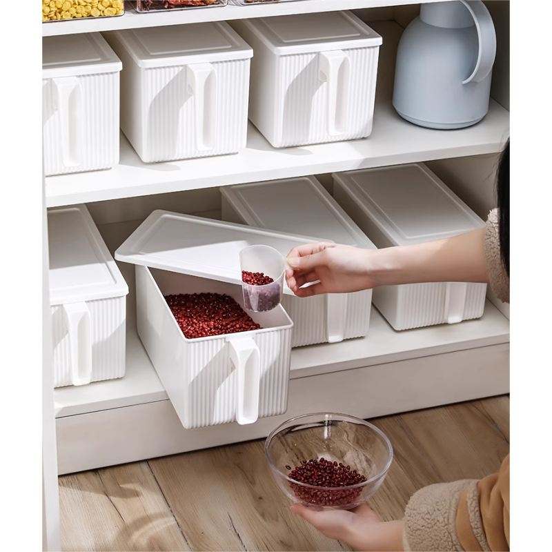 Food Storage Box Factory - Plastic with Handle Multi-Specification