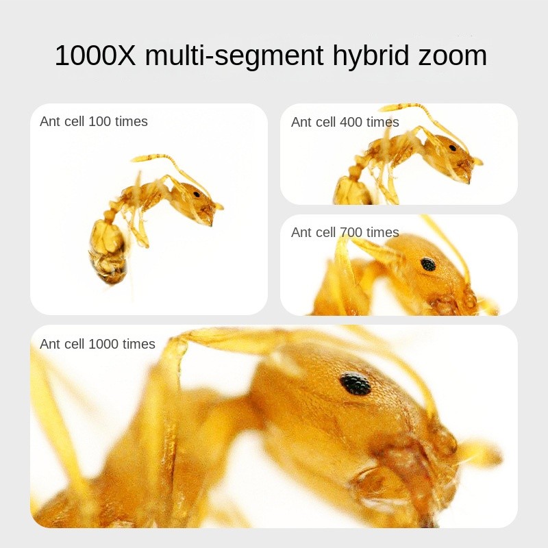Handheld Microscope Manufacturer - Electronic Science Experiment