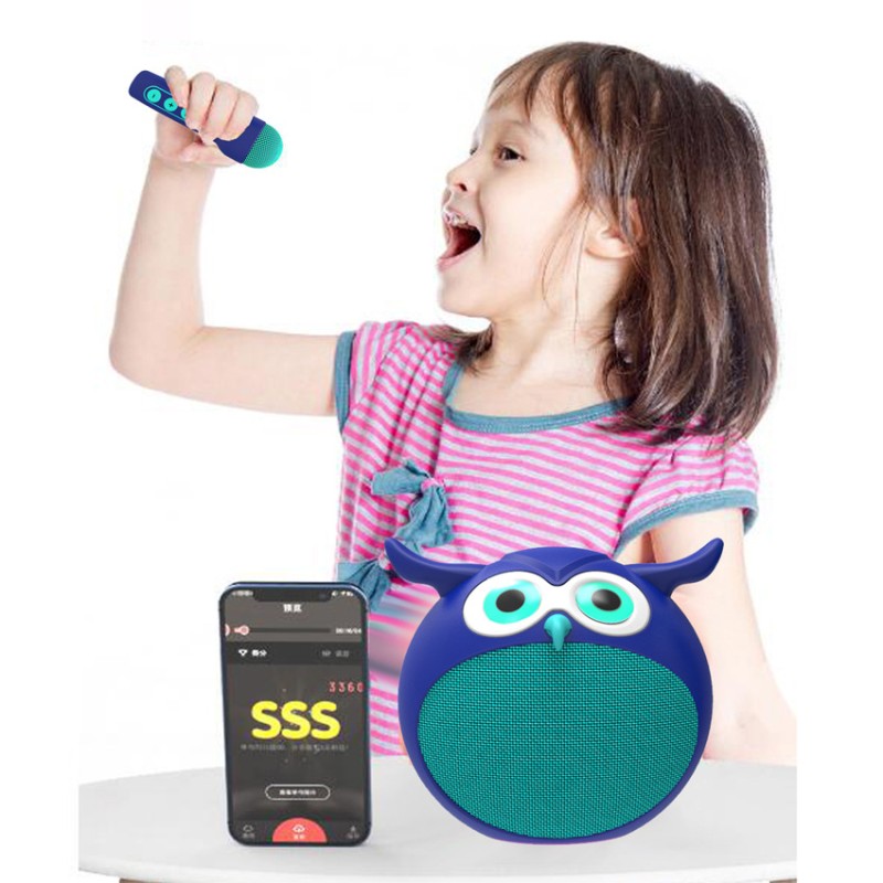 Bluetooth Speaker Manufacturer - Owl-Shaped Portable Mini Stereo