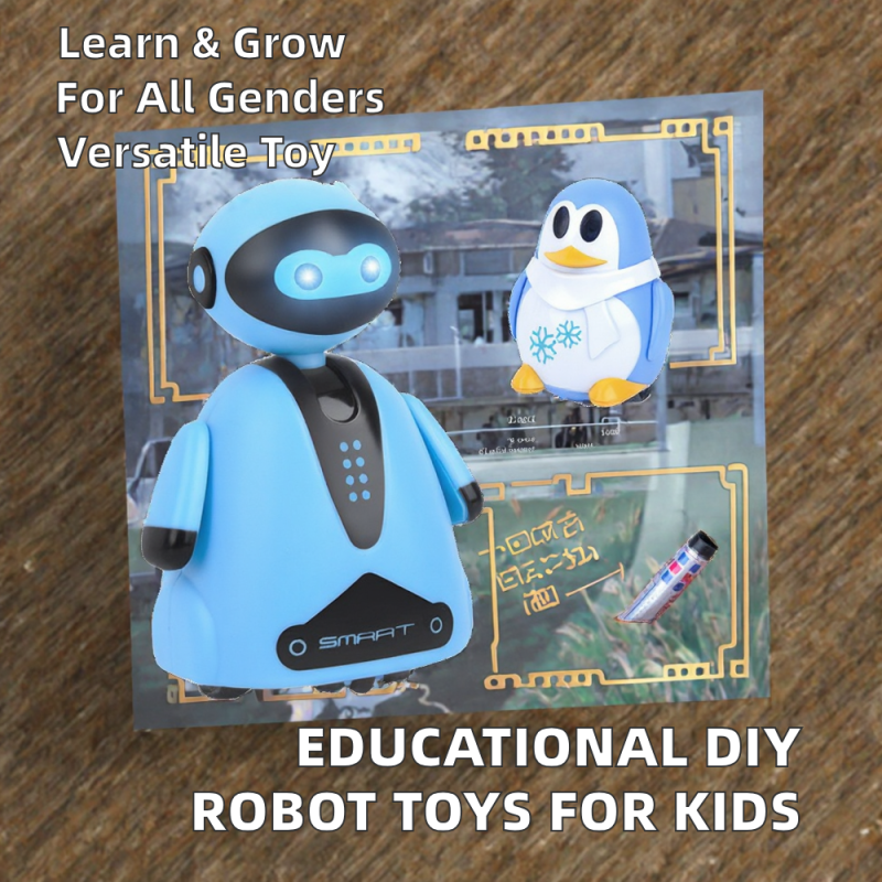DIY Robot Toy Manufacturer - Educational Plastic Age 5-7