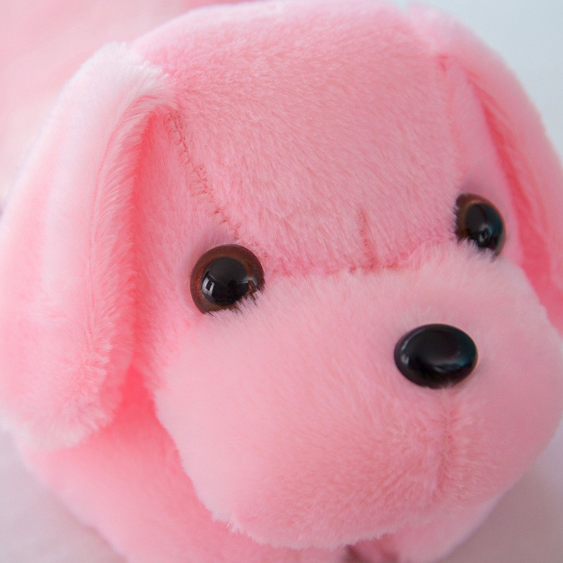 Glow Animal Manufacturer - 35cm Birthday Gift