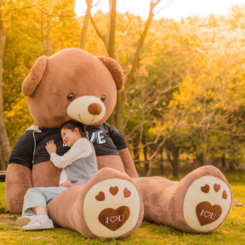Teddy Skin Manufacturer - Custom Wholesale Giant