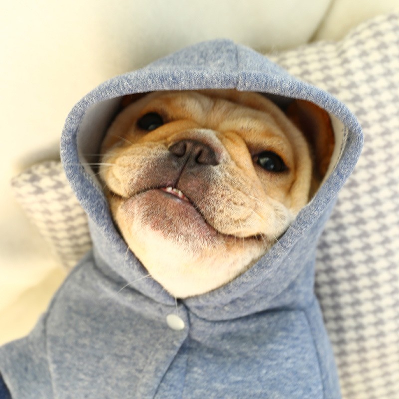 White Teddy Manufacturer - Wholesale Plush Mini