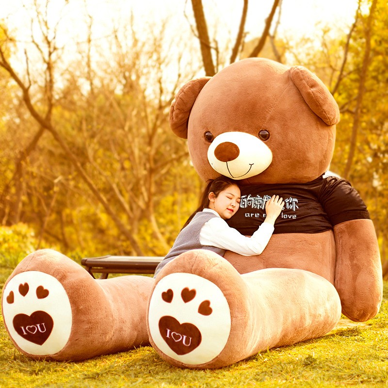 Teddy Skin Manufacturer - Custom Wholesale Giant