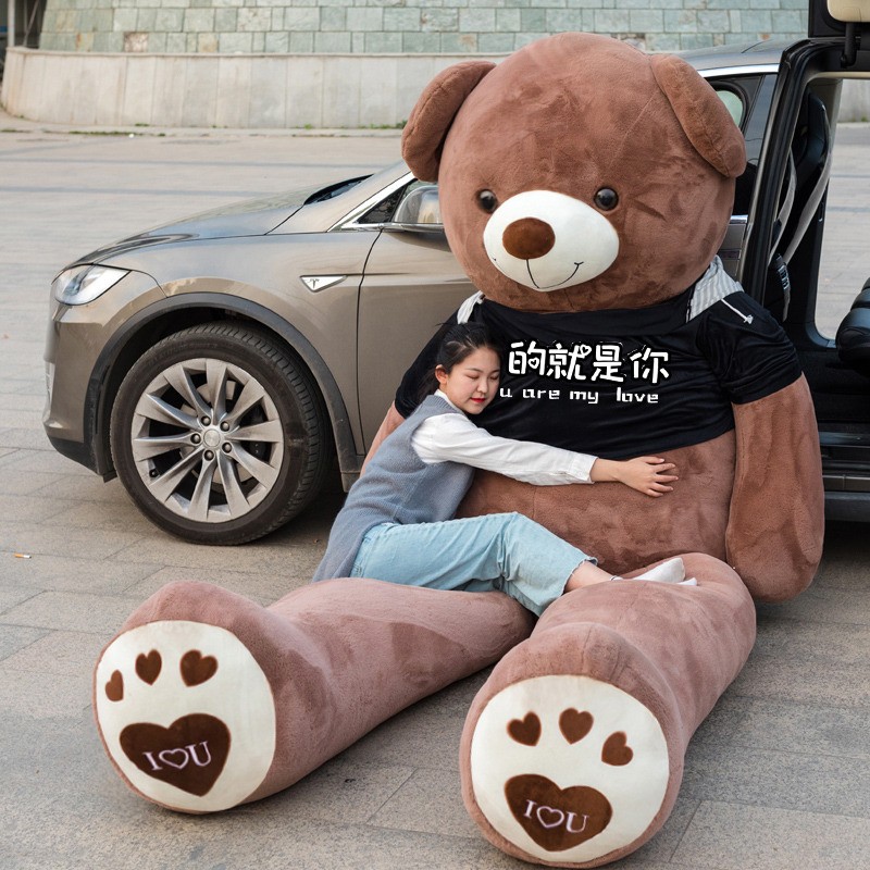 Teddy Skin Manufacturer - Custom Wholesale Giant