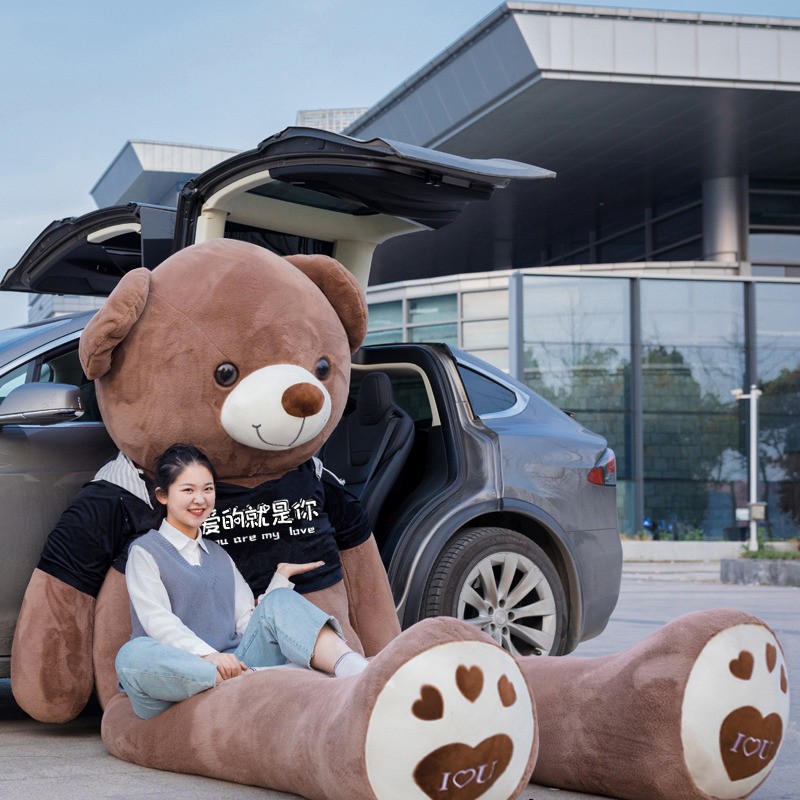 Teddy Skin Manufacturer - Custom Wholesale Giant