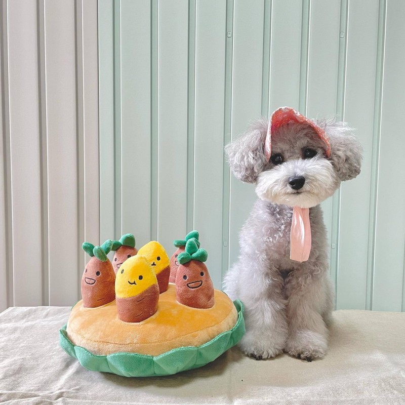 Pet Plush Toy Factory - Manufacturer Wholesale Interactive