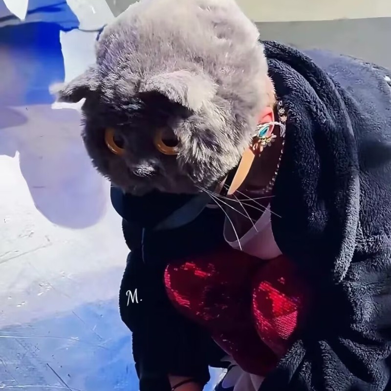 Cat Ear Hat Manufacturer - Plush Stuffed Animal Cap Cartoon