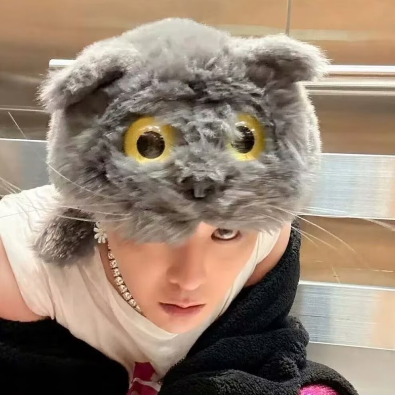 Cat Ear Hat Manufacturer - Plush Stuffed Animal Cap Cartoon