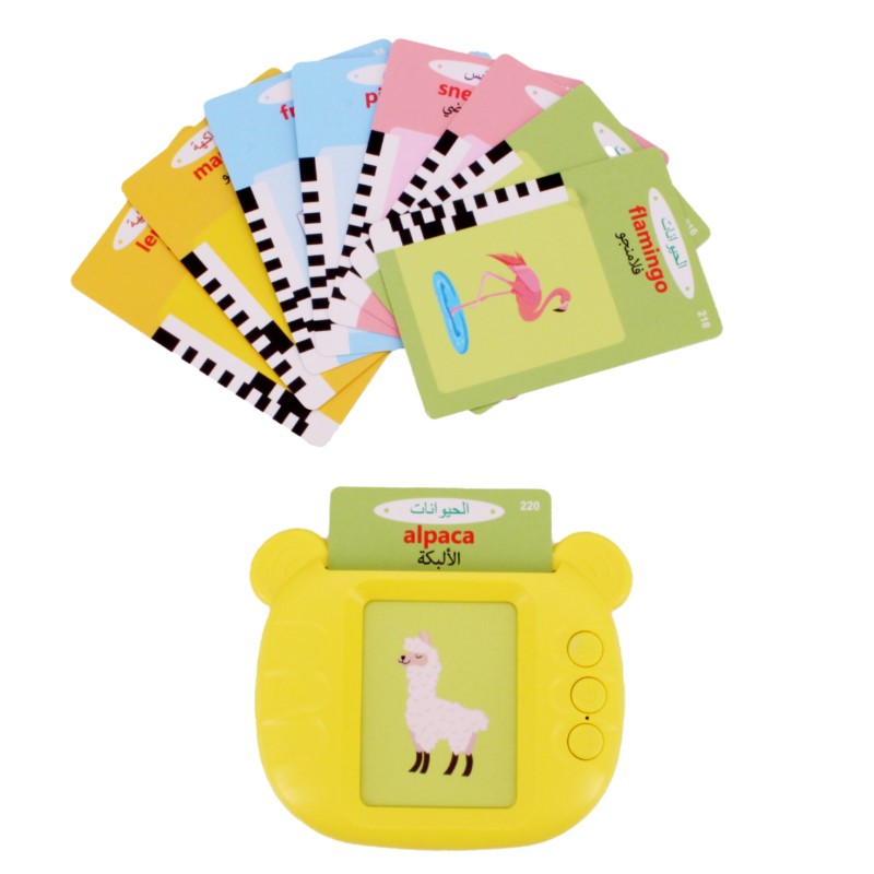 Educational Toy Manufacturer - Electronic Talking Flash Cards