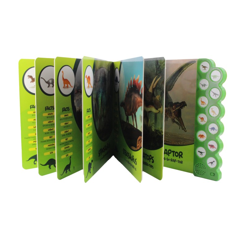 Bear Flash Card Manufacturer - 112-Card Lithium-Powered Talking