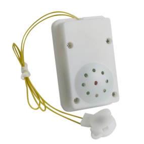 Voice Box Manufacturer - Promotional Pull String for Toys