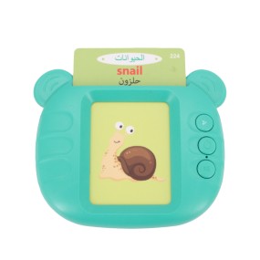 Educational Toy Manufacturer - Electronic Talking Flash Cards