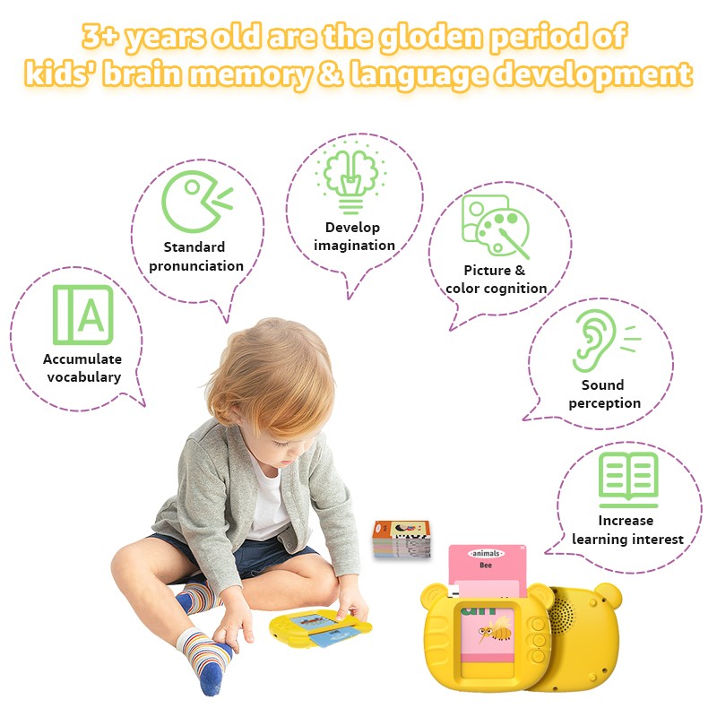 Montessori Toy Manufacturer - Cognitive Talking Flash Cards Bulk