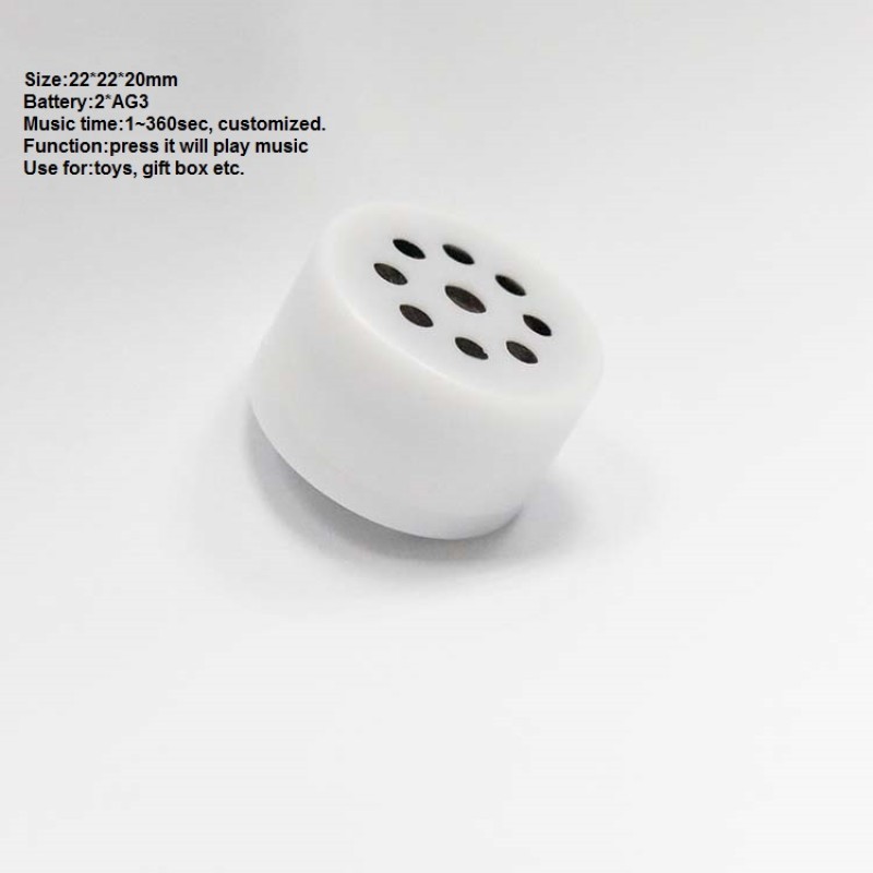 Plush Toy Module Manufacturer - Programmable Mini Sound Recorder