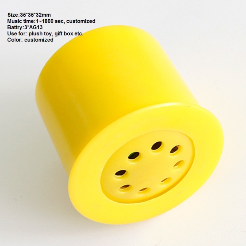 Plush Toy Module Manufacturer - Programmable Mini Sound Recorder