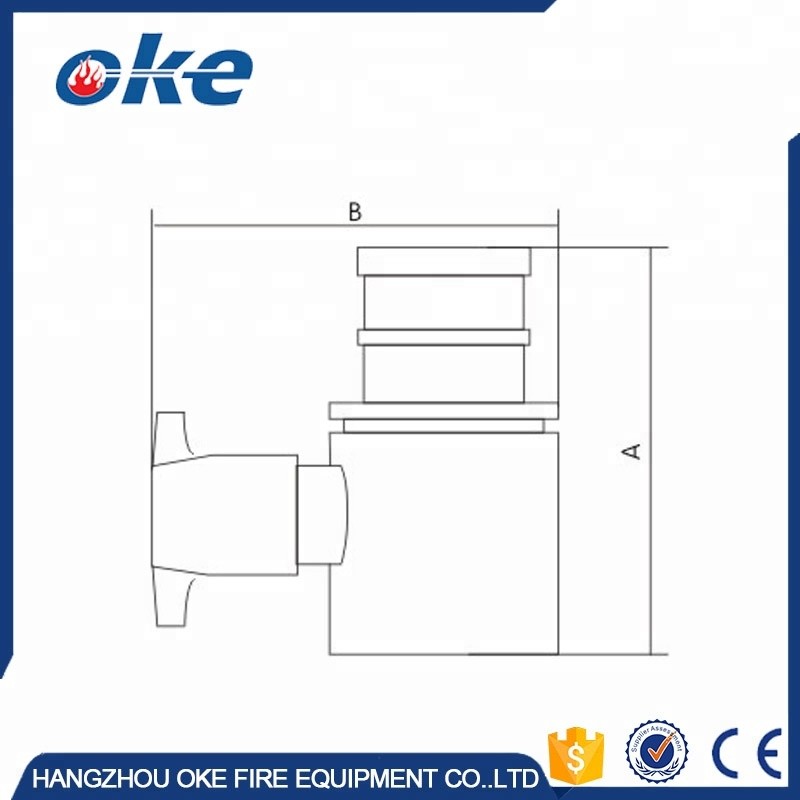 Hose Coupling Factory - British Type 2 1/2 Inch