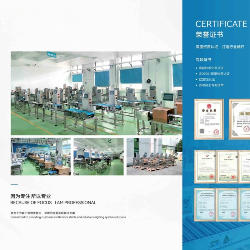 Inline Checkweigher Manufacturer - Dynamic Conveyor Precision