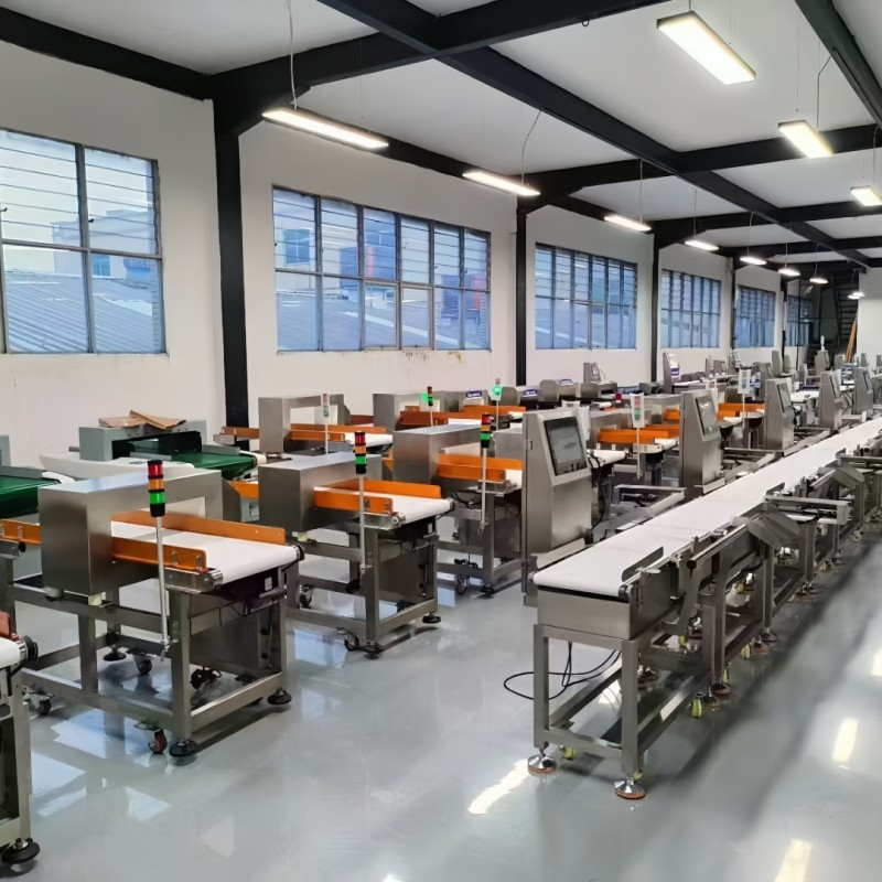 Belt Checkweigher Manufacturer - High Precision Daily Automatic