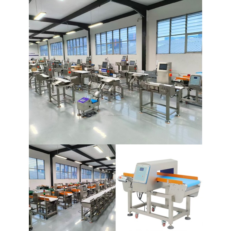 Belt Checkweigher Manufacturer - High Precision Daily Automatic