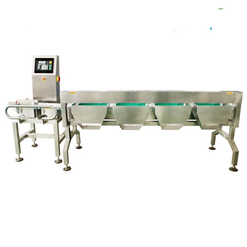 Weighing Machine Manufacturer - Packaging Dynamic Conveyor
