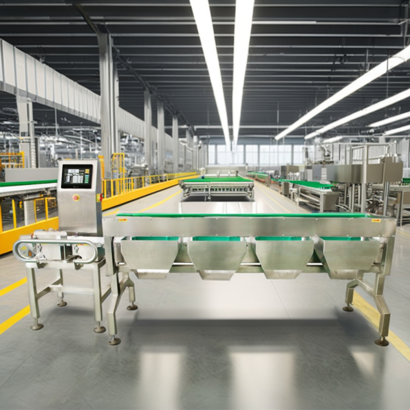 Weighing Machine Manufacturer - Packaging Dynamic Conveyor