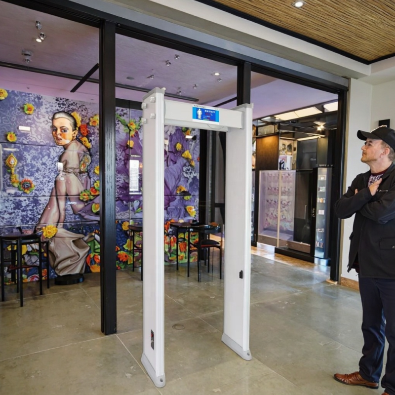 Industrial Detector Manufacturer - 33 Zone Multi-Zones Body