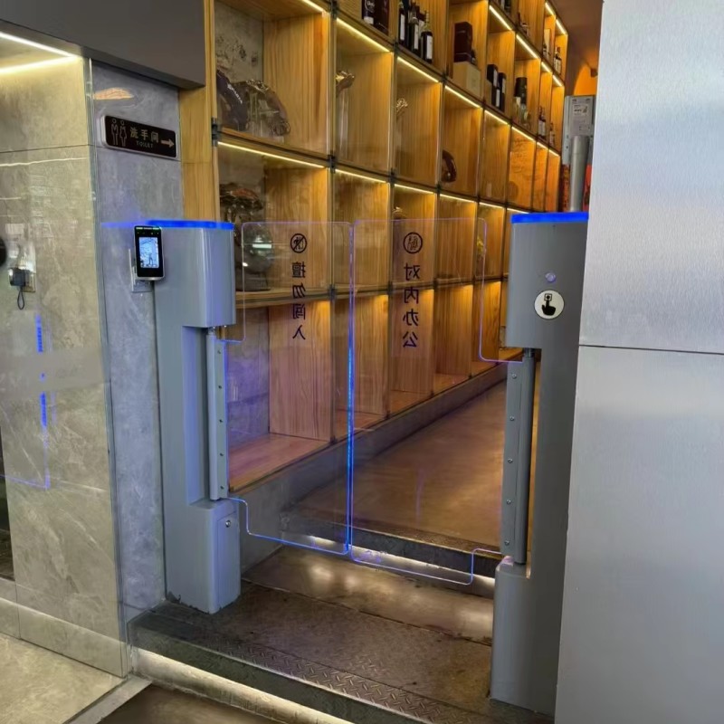 Electric Swing Gate Supplier - Vertical Security Entrance