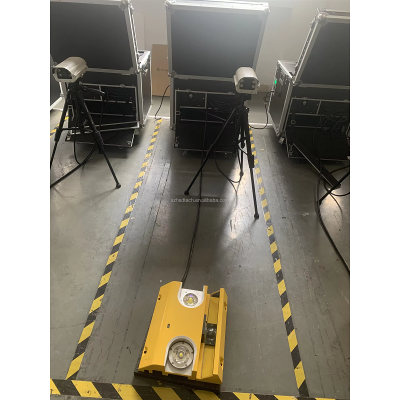 Vehicle Scanner Manufacturer - Border Station Detection System