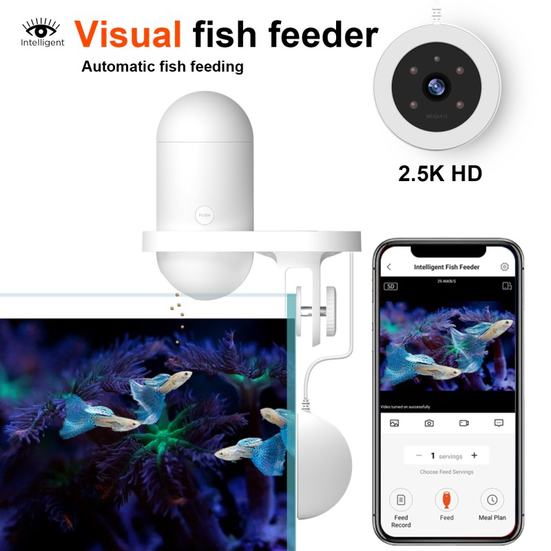 Fish Feeder Camera Manufacturer - 4MP Wifi Cloud Storage